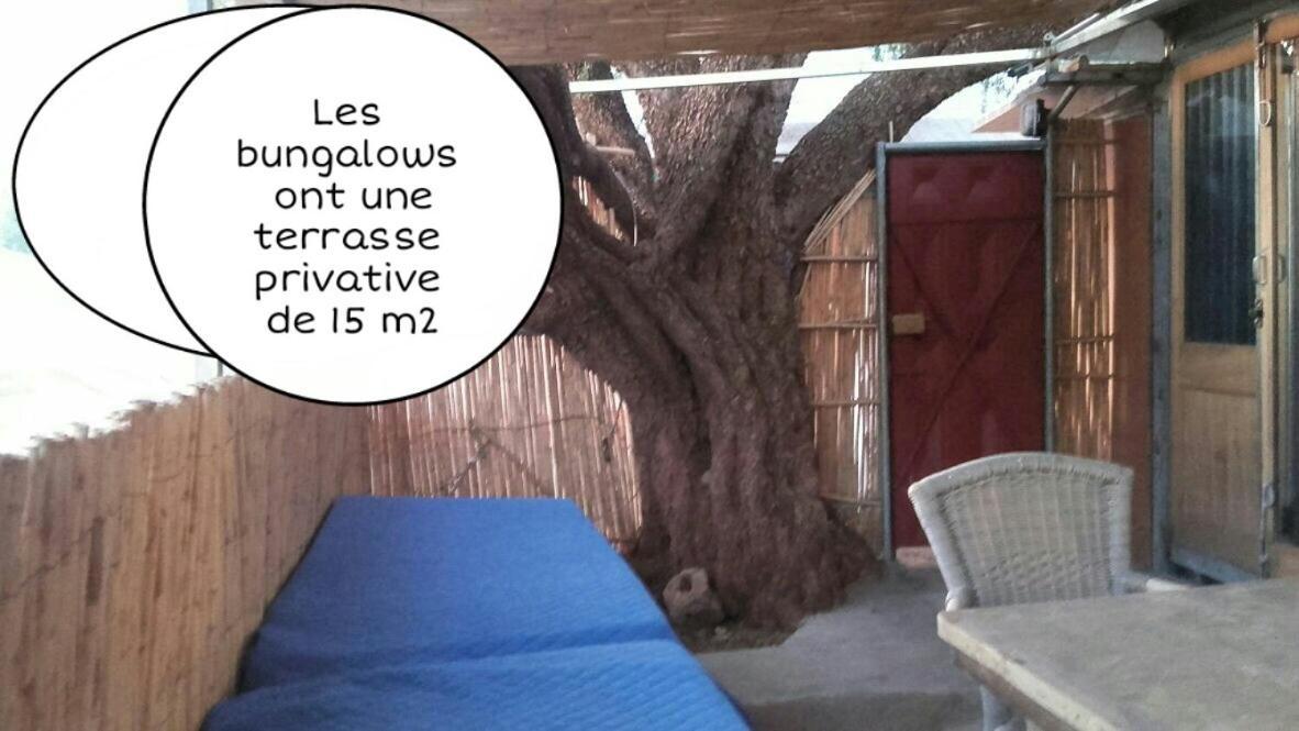 Gite Village Paradise Valley Tagherat Anekrim Room photo